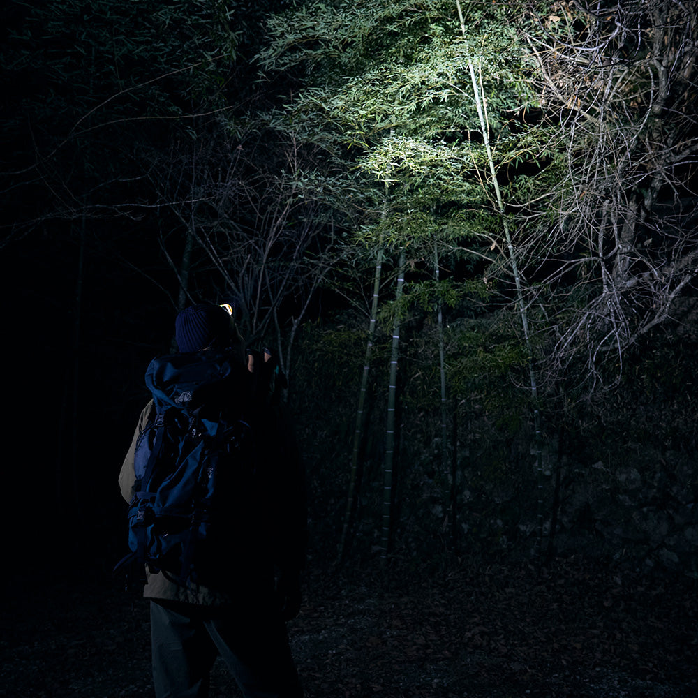 LED ヘッドライト WAQ【1年保証】