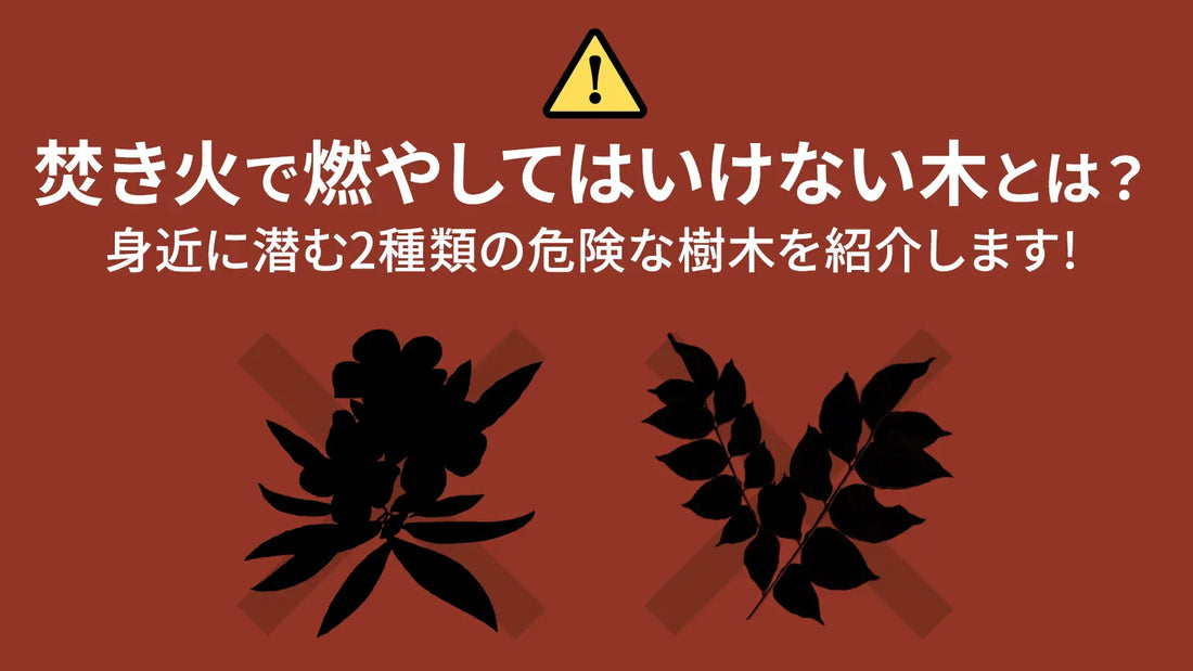 焚き火で燃やしてはいけない木とは？身近に潜む2種類の危険な樹木も紹介