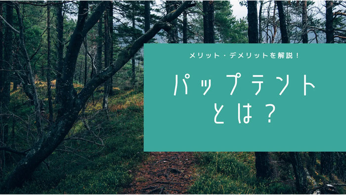 パップテントとは？メリット・デメリットや人気の理由、選び方のポイント